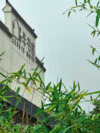 Live |最近在合肥去了家好拍的漂亮店
