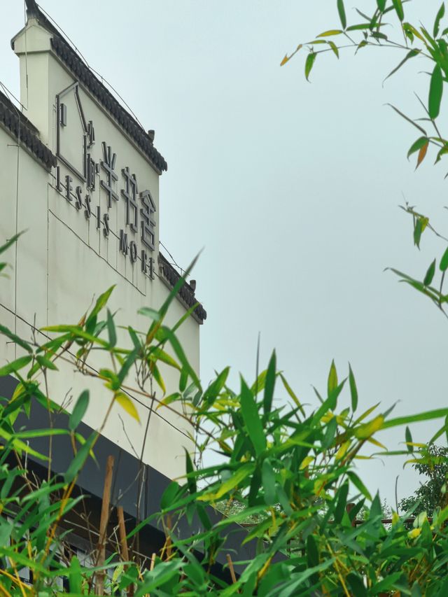 Live |最近在合肥去了家好拍的漂亮店