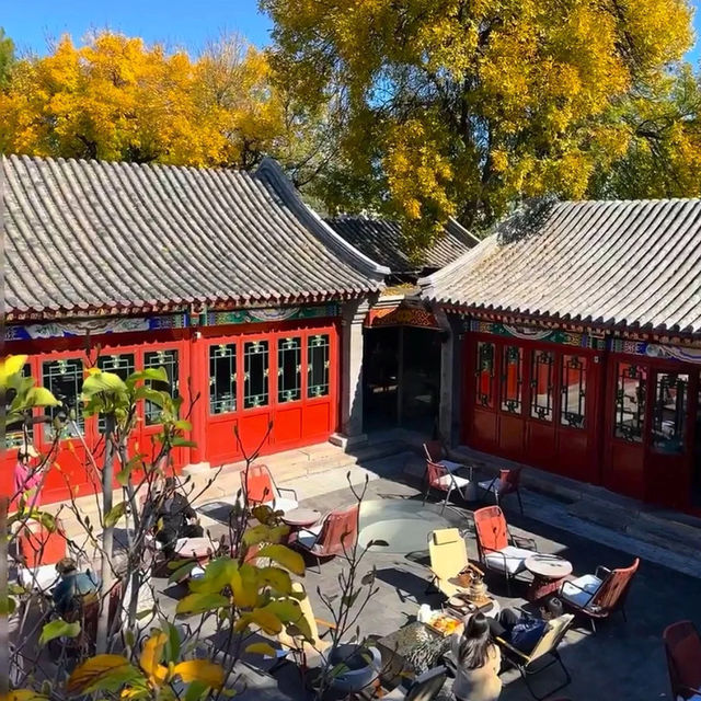 🍂🏮베이징 가을 여행의 로망, 이 골목길을 따라 걷다  🍂🏮베이징 가을 여행의 로망, 이 골목길을 따라 걷다