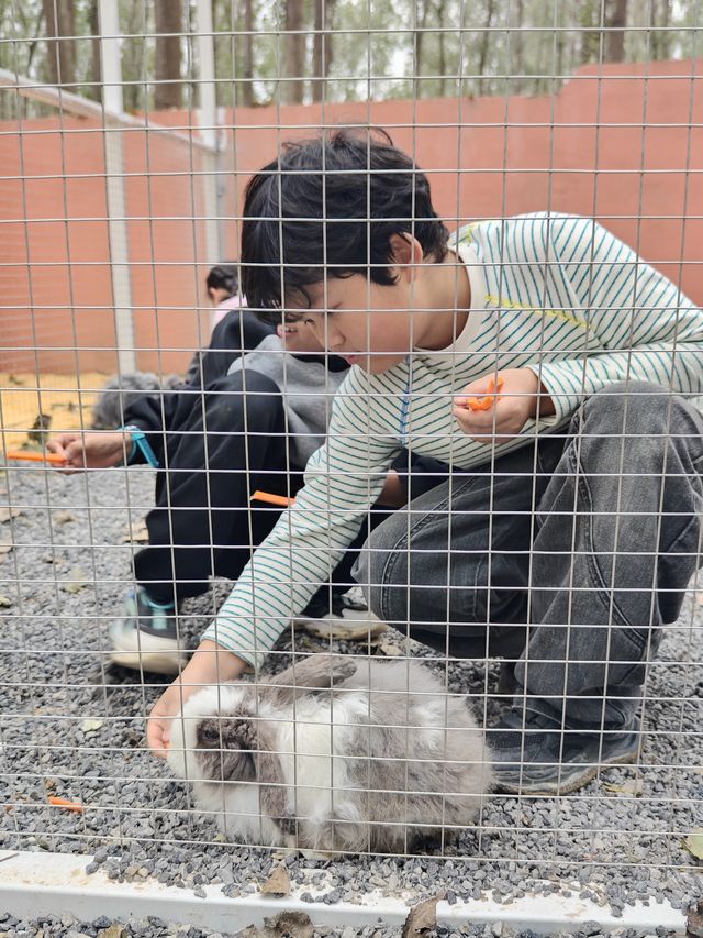 53000㎡親子樂園，帶小朋友放電一整天