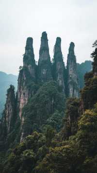 井岡山革命博物館，全國最權威的紅色主題展館之一，值得一去