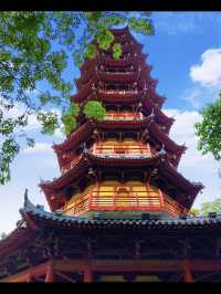 龍華公園拍塔全攻略