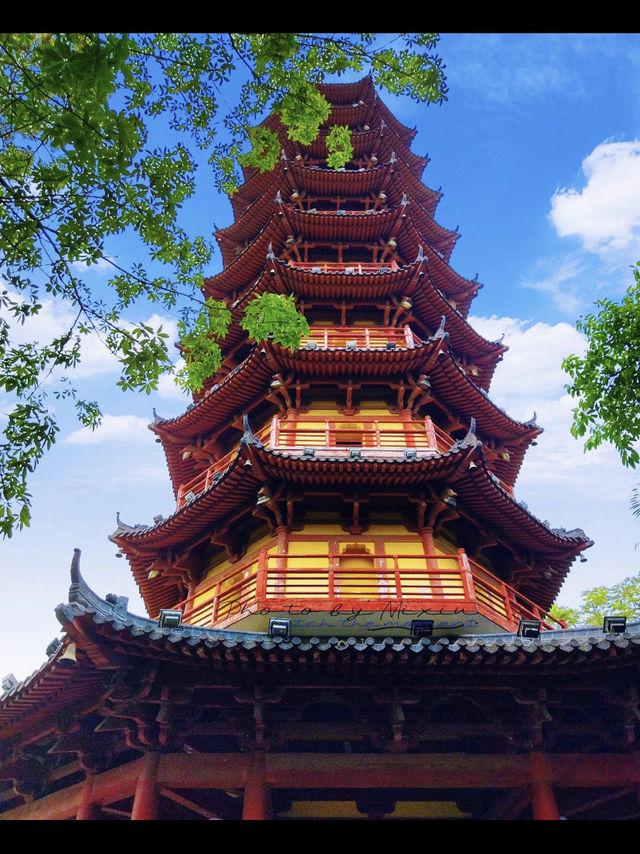 龍華公園拍塔全攻略
