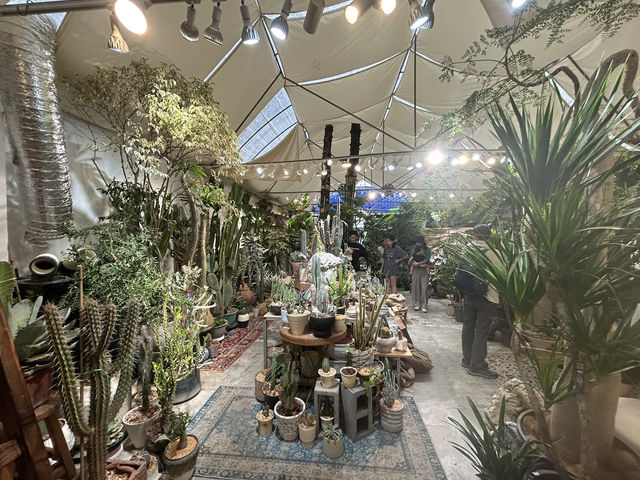 🌿 深圳花卉市場｜與植物來場浪漫的近距離約會 🌸