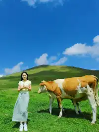 2天1夜壩上草原親子遊！省心省錢超全攻略