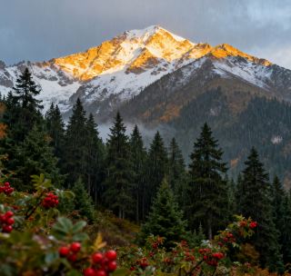 The yellow leaves are boiling at the source of the Weihe River, Gansu's hidden autumn secret!