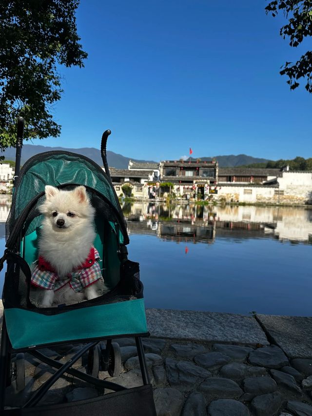 皖南追秋指南 皖南追秋指南