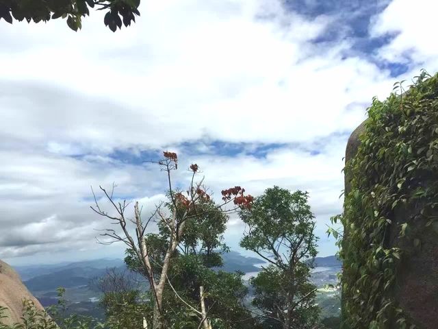 太姥山記憶 太姥山記憶