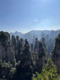 Stone Pillar Magic🌲