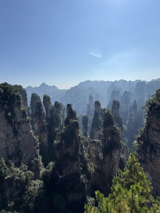 Stone Pillar Magic🌲 Stone Pillar Magic🌲