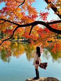 雲平山秋日仙境