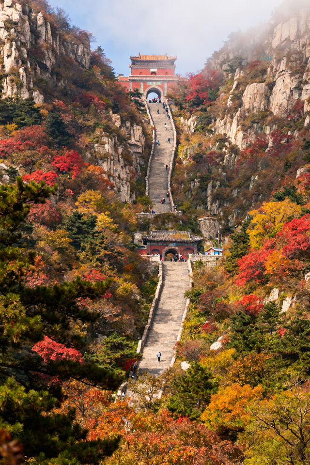 家庭遊好去處！山東日遊超高性價比
