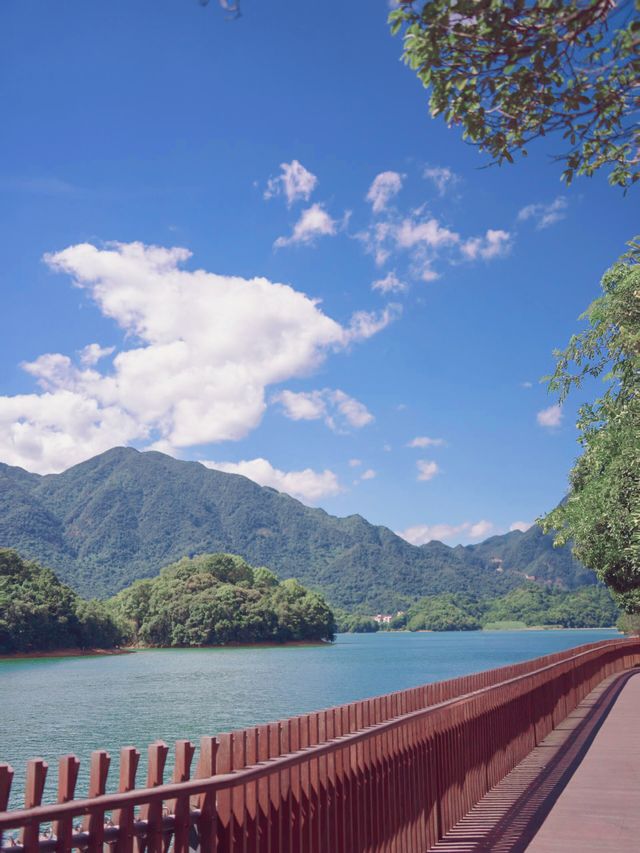 反向旅遊成功！江西被低估的旅遊景點