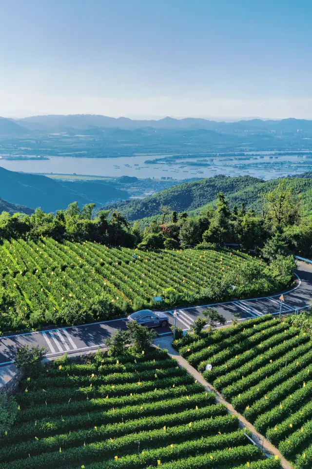 In Hangzhou!! Didn't go to Xiamen!! Super romantic mountain and sea road