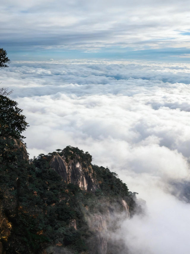 雲霧仙境徒步路線