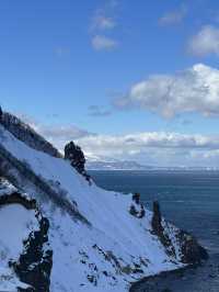 北海道冬季自由行｜中文包車太香了