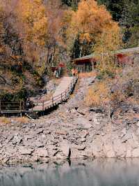 來回9小時，值回票價到喊晒！松坪溝嘅秋天簡直係神級啦