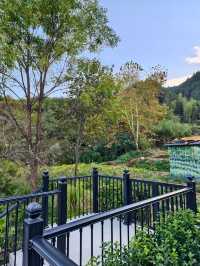 婺源秋色獨家攻略就在銀杏谷民宿