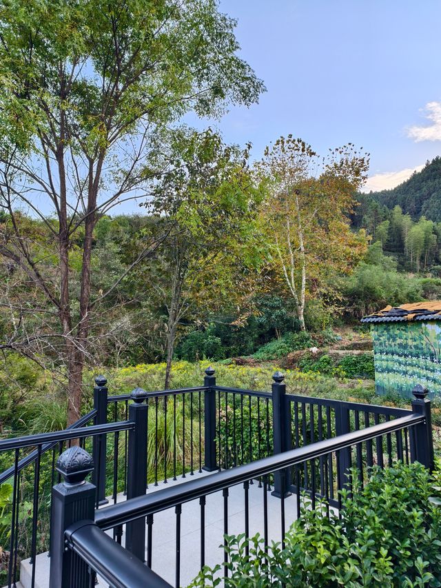 婺源秋色獨家攻略就在銀杏谷民宿