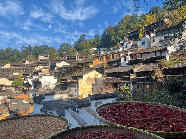 婺源篁嶺曬秋絕絕子手機拍到斷電哭著求饒