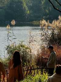 漫步詩歌裡成都浣花溪公園的神仙玩法