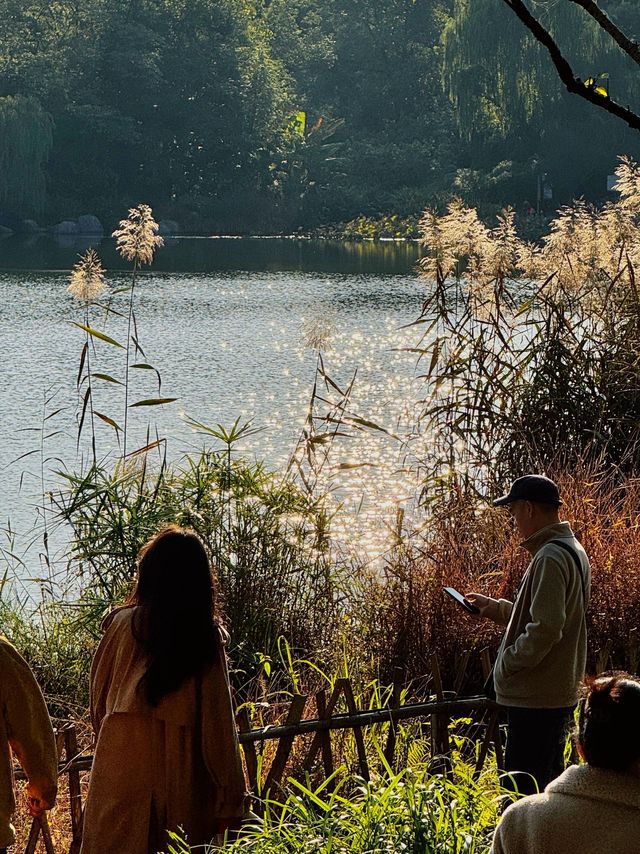 漫步詩歌裡成都浣花溪公園的神仙玩法