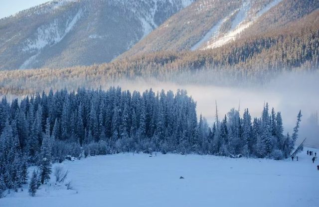 等一場阿勒泰的雪，赴人間純白之約