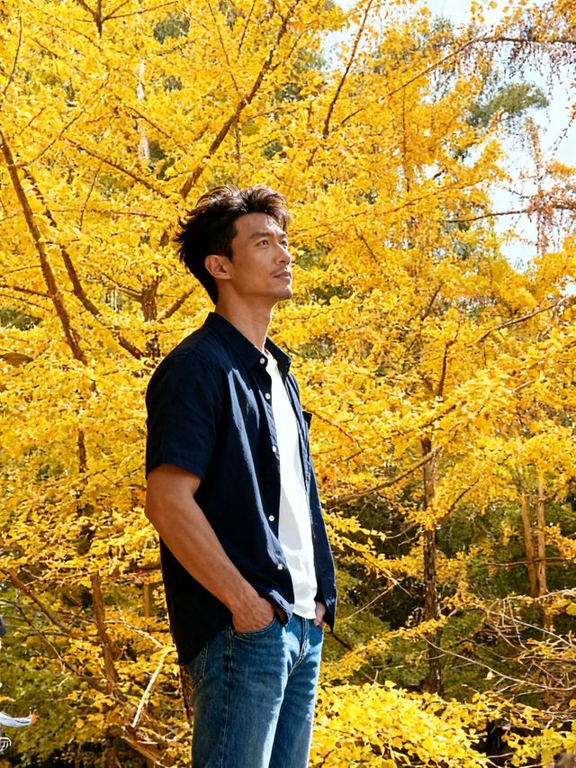 帽峰秋語：在金色秘境治癒心靈