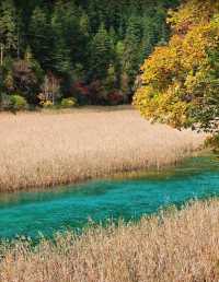 錯過等一年！川西5日遊半秋半冬仙境