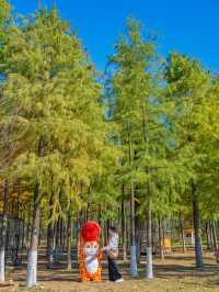 江浙滬這座寶藏樂園！已經被這裡動物萌化了