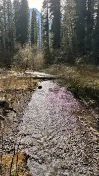 想去綿陽王朗？看我這篇就對了！