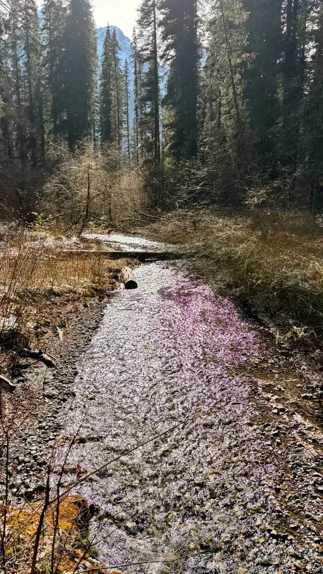 想去綿陽王朗？看我這篇就對了！