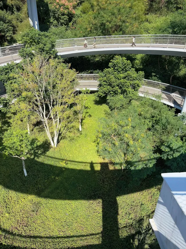 在廈門秋日最美山海步道全程下坡