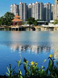 先喊一句:揭陽西湖你還有多少驚喜是我們不知道的!