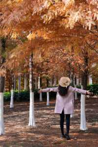 在武漢！99%人都不知道的紅杉公園，免費