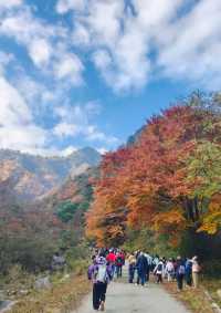 【唐家河秘境】小眾旅行玩法攻略！