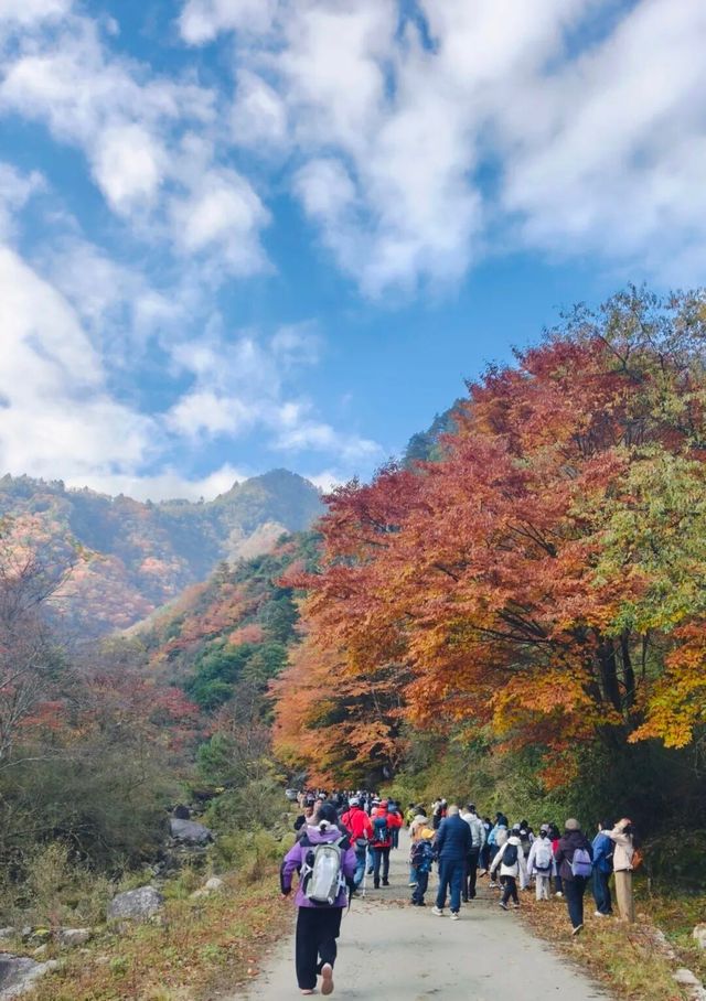【唐家河秘境】小眾旅行玩法攻略！