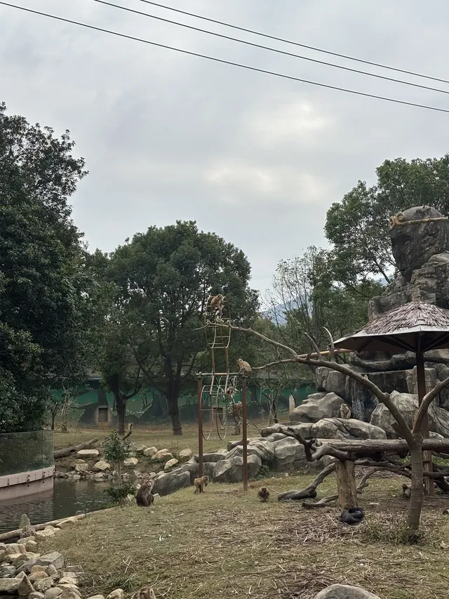 太湖龍之夢秋日奇遇動物界顯眼包集合! 太湖龍之夢秋日奇遇動物界顯眼包集合!