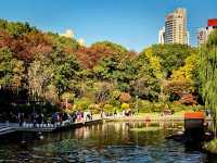 都市中的秋日詩篇