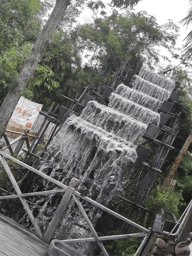 廈門1日包車遊 這些地方美到哭