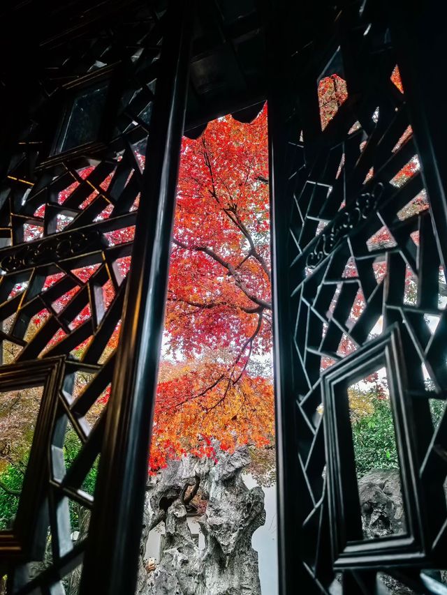 蘇州園林秋景美如畫一秒穿越古代當住園主人