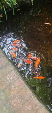 A Perfectly Situated Gem in Candidasa