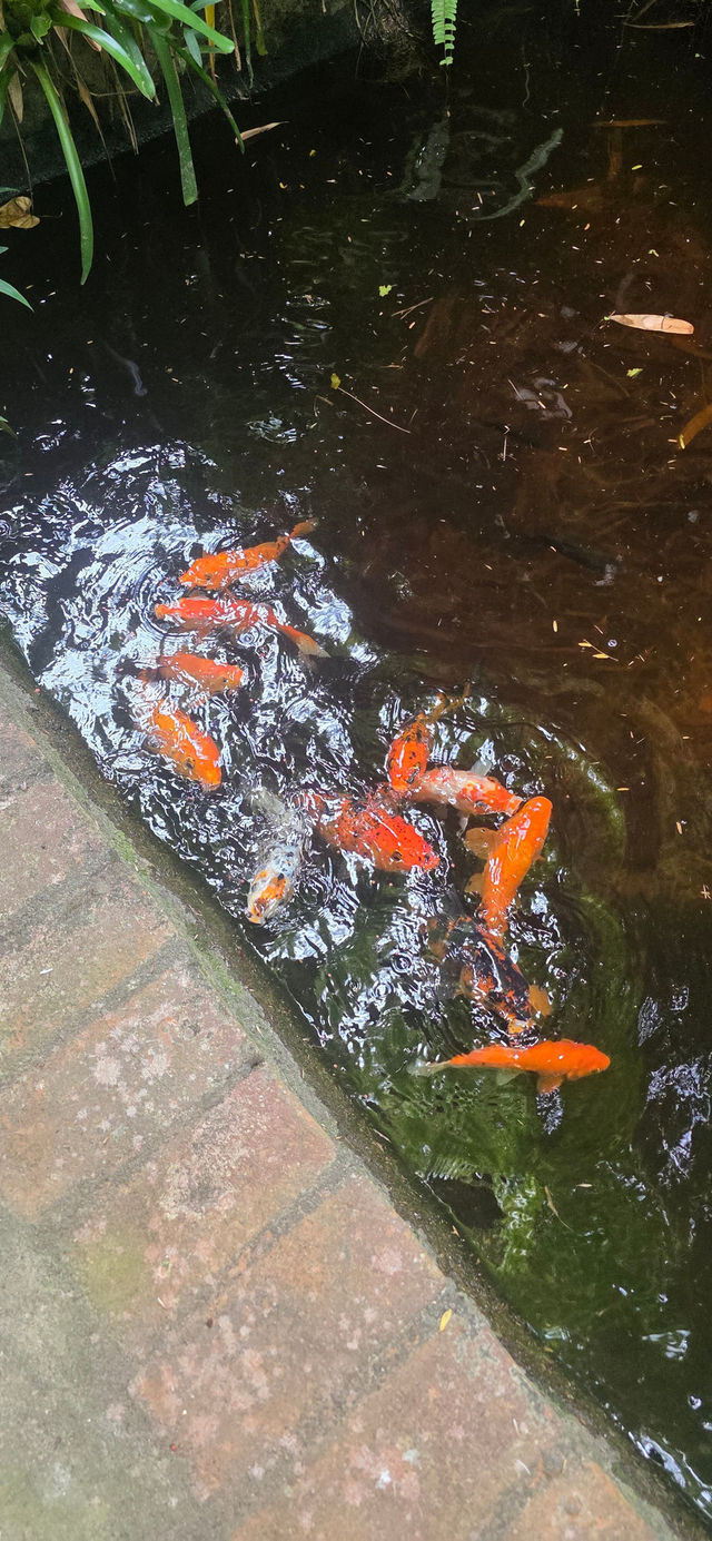 A Perfectly Situated Gem in Candidasa