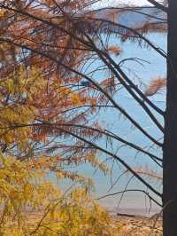 冬季來臨,白廊還值得來遊玩嗎?