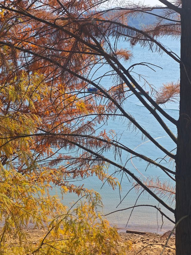 冬季來臨,白廊還值得來遊玩嗎? 冬季來臨,白廊還值得來遊玩嗎?