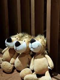 這次在貴州興義發現了一處藏在森林裡的寶藏酒店!