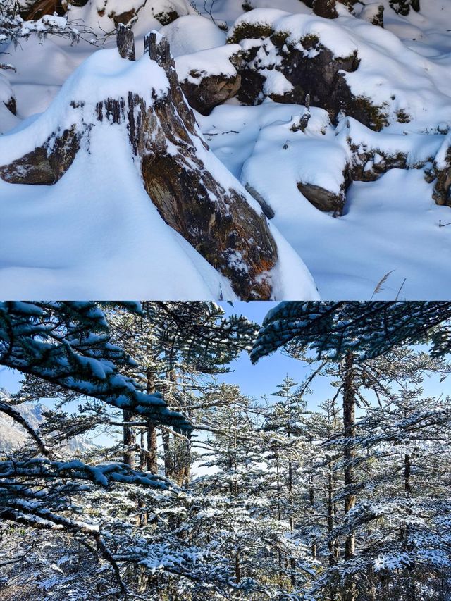 被問爆的雪山治癒地!今年冬天一定要去 被問爆的雪山治癒地!今年冬天一定要去