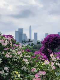 深圳必打卡|蓮花山公園保姆級攻略仰望偉人俯瞰城!