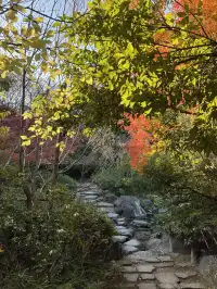 名古屋紅葉—白鳥庭園