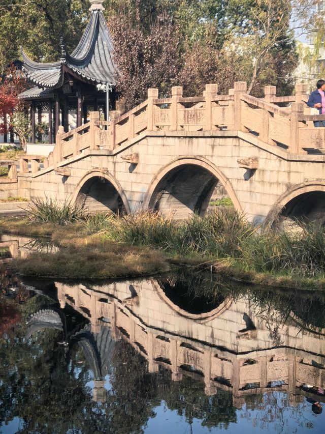 崑山澱山湖忻康公園:江南水鄉的城市秘境! 崑山澱山湖忻康公園:江南水鄉的城市秘境!